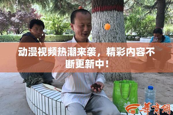动漫视频热潮来袭，精彩内容不断更新中！