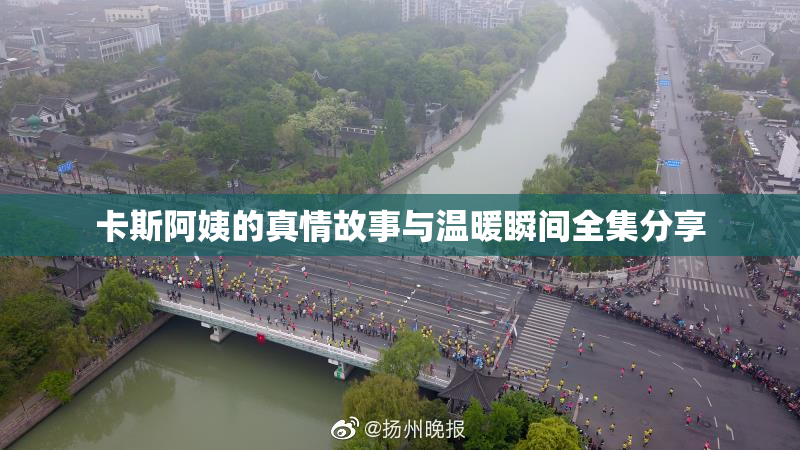 卡斯阿姨的真情故事与温暖瞬间全集分享