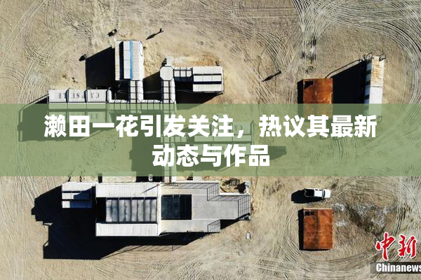 濑田一花引发关注，热议其最新动态与作品