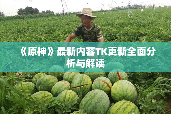 《原神》最新内容TK更新全面分析与解读