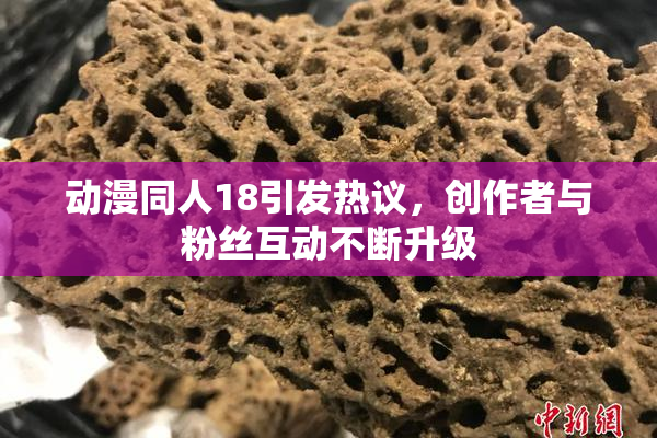 动漫同人18引发热议，创作者与粉丝互动不断升级