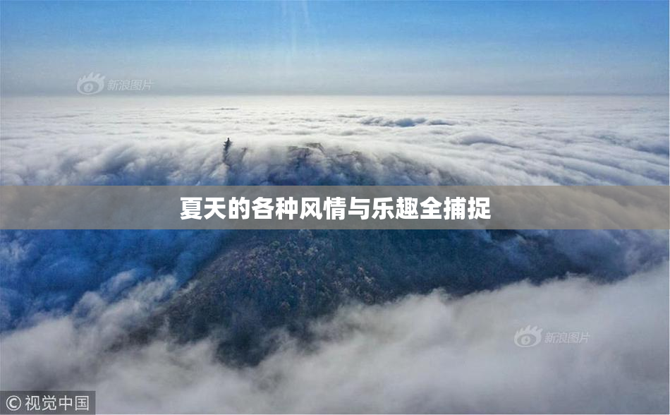 夏天的各种风情与乐趣全捕捉