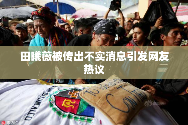 田曦薇被传出不实消息引发网友热议
