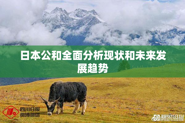 日本公和全面分析现状和未来发展趋势