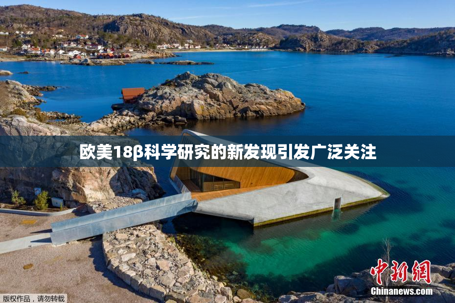 欧美18β科学研究的新发现引发广泛关注