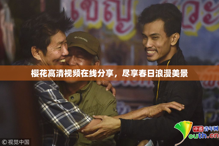 樱花高清视频在线分享，尽享春日浪漫美景