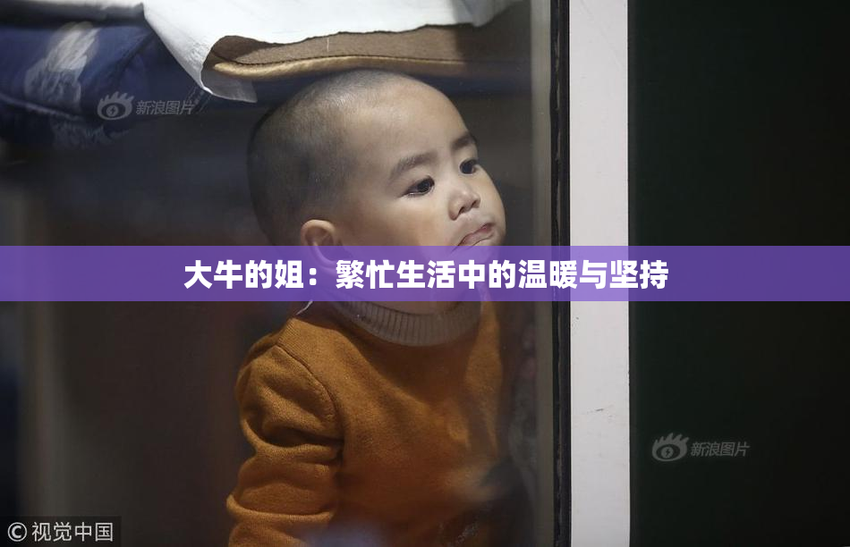 大牛的姐：繁忙生活中的温暖与坚持