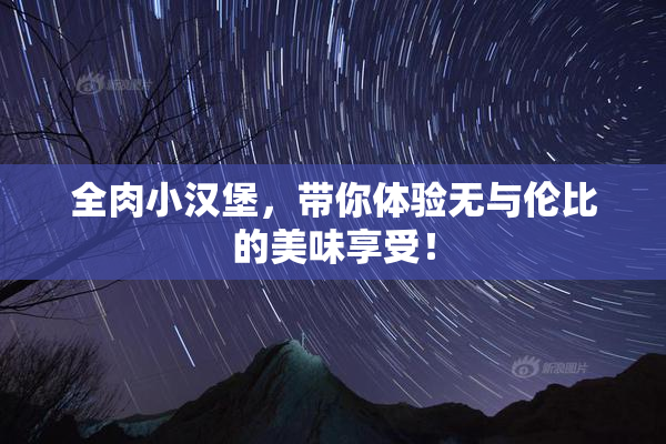 全肉小汉堡，带你体验无与伦比的美味享受！