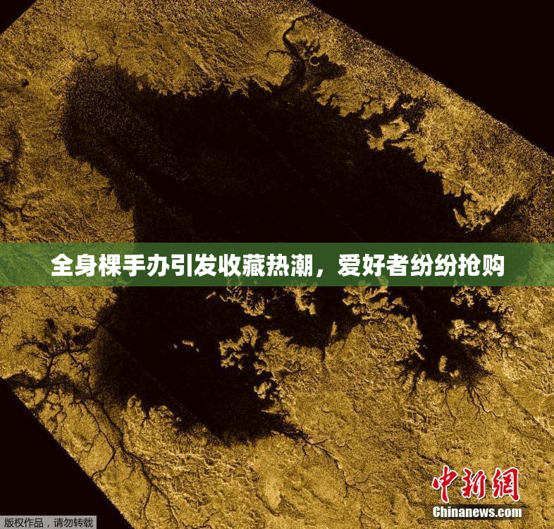 全身棵手办引发收藏热潮，爱好者纷纷抢购