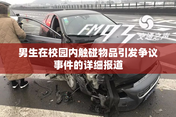 男生在校园内触碰物品引发争议事件的详细报道