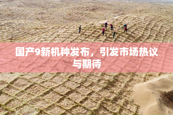国产9新机种发布，引发市场热议与期待
