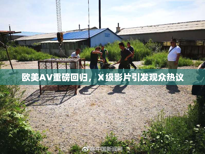 欧美AV重磅回归，Ⅹ级影片引发观众热议