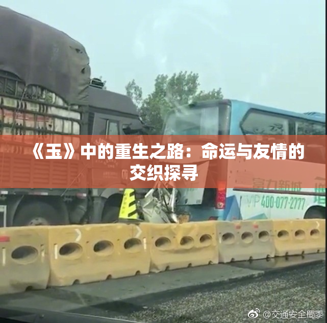 《玉》中的重生之路：命运与友情的交织探寻
