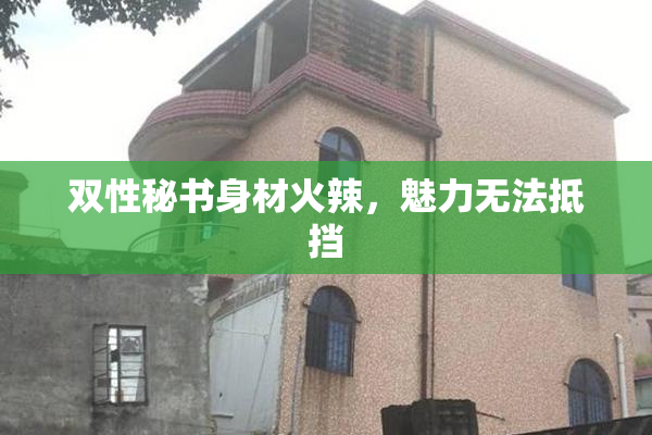 双性秘书身材火辣，魅力无法抵挡