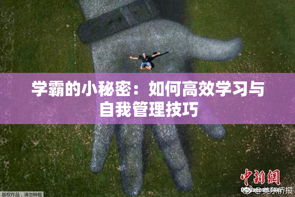 学霸的小秘密：如何高效学习与自我管理技巧