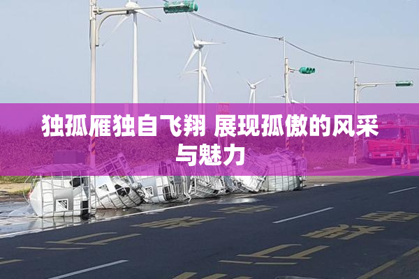 独孤雁独自飞翔 展现孤傲的风采与魅力