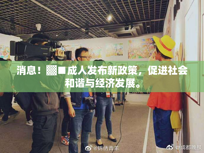 消息！▓■成人发布新政策，促进社会和谐与经济发展。