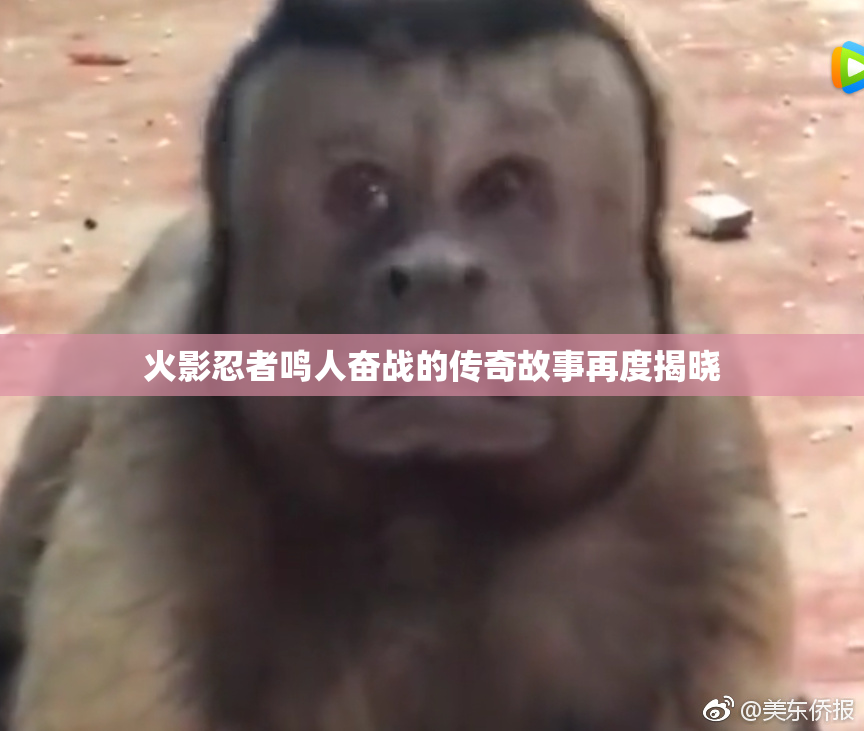 火影忍者鸣人奋战的传奇故事再度揭晓
