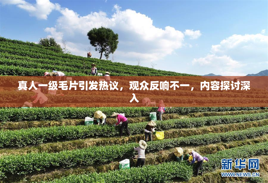 真人一级毛片引发热议，观众反响不一，内容探讨深入