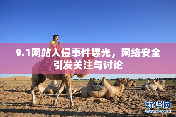 9.1网站入侵事件曝光，网络安全引发关注与讨论