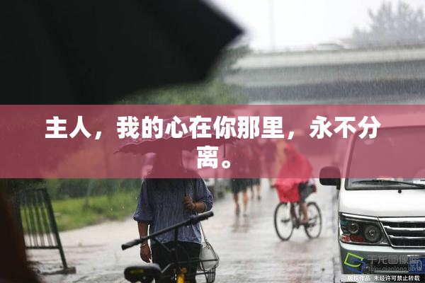 主人，我的心在你那里，永不分离。