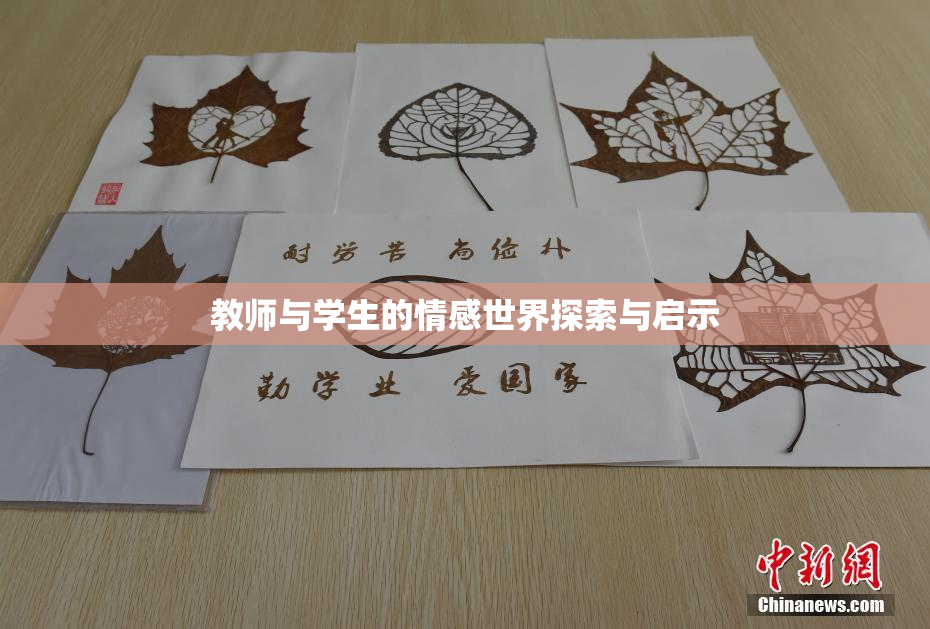 教师与学生的情感世界探索与启示