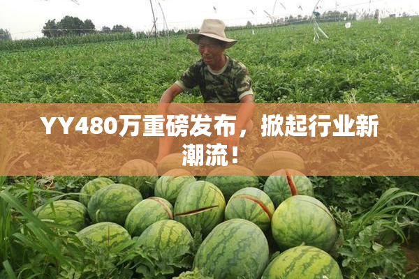 YY480万重磅发布，掀起行业新潮流！