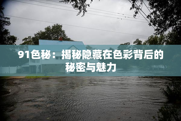 91色秘：揭秘隐藏在色彩背后的秘密与魅力