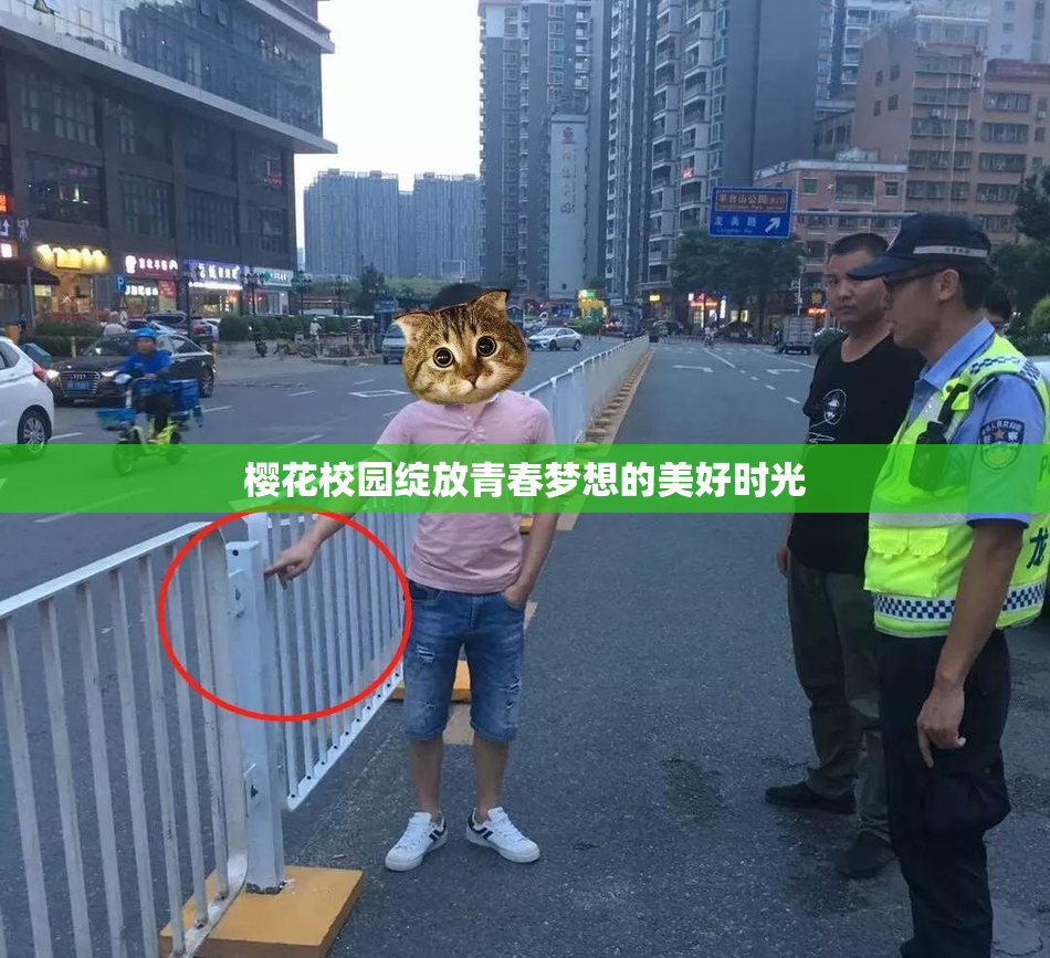 樱花校园绽放青春梦想的美好时光
