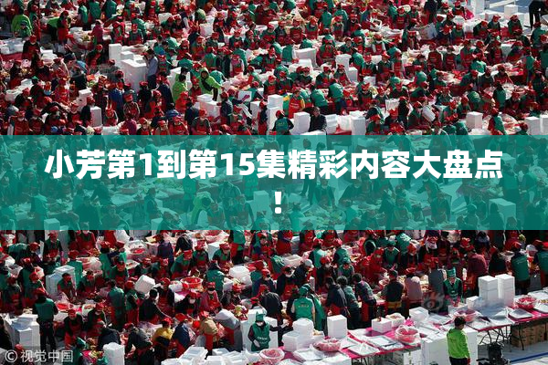 小芳第1到第15集精彩内容大盘点！
