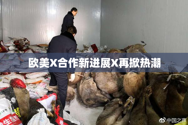 欧美X合作新进展X再掀热潮