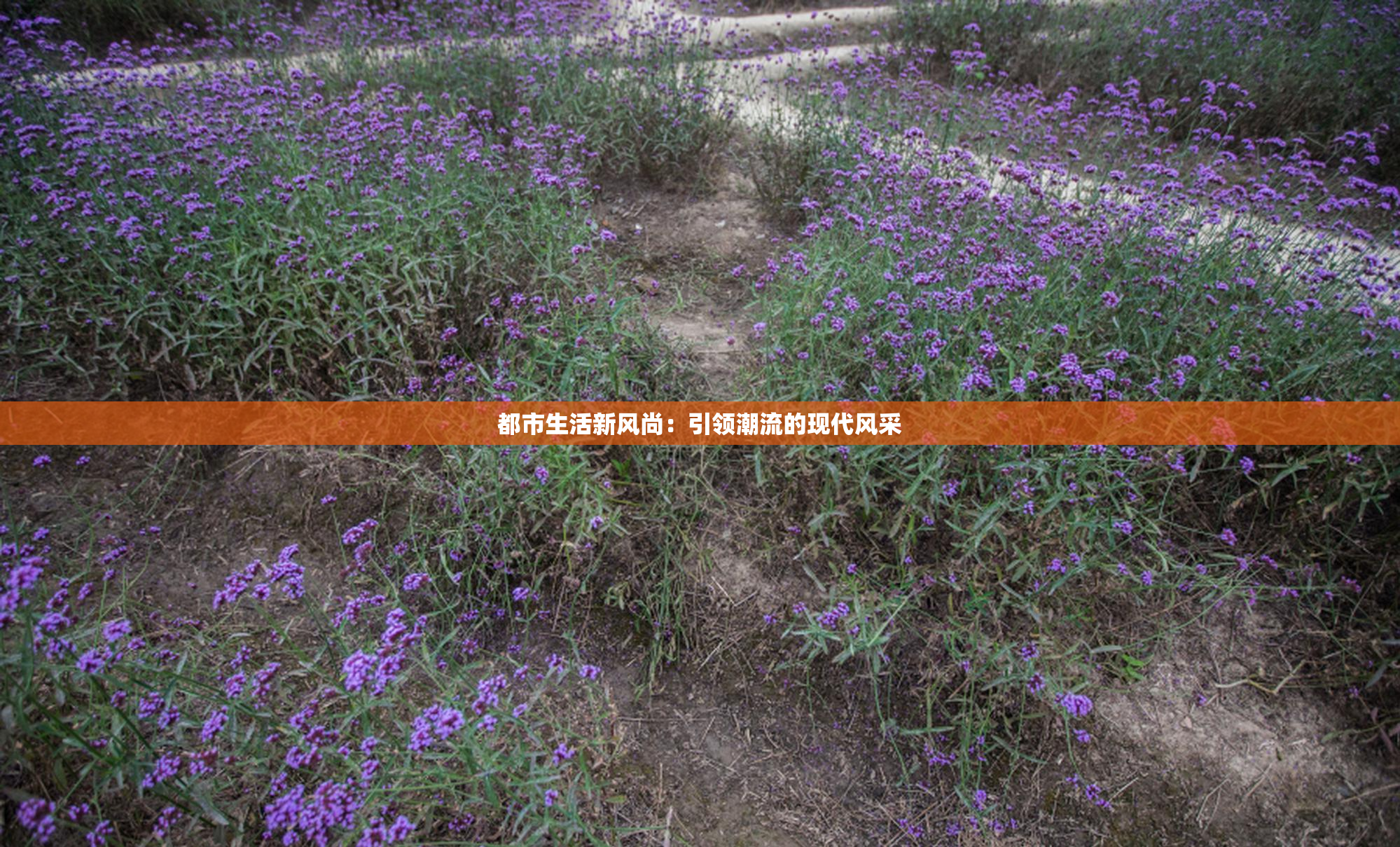 都市生活新风尚：引领潮流的现代风采