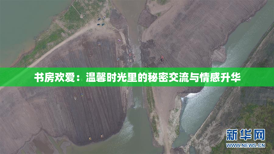 书房欢爱：温馨时光里的秘密交流与情感升华