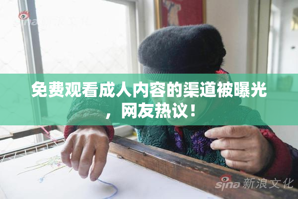 免费观看成人内容的渠道被曝光，网友热议！
