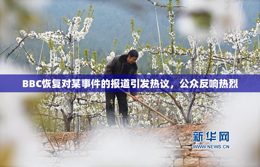 BBC恢复对某事件的报道引发热议，公众反响热烈