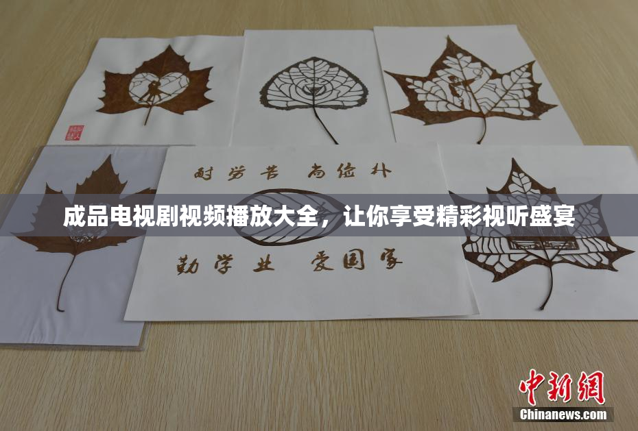 成品电视剧视频播放大全，让你享受精彩视听盛宴