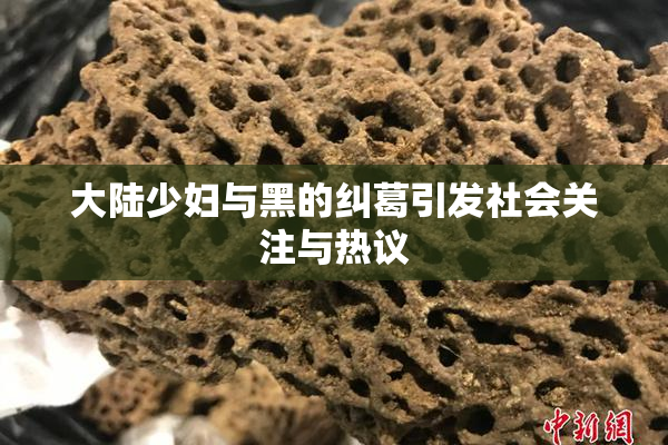 大陆少妇与黑的纠葛引发社会关注与热议