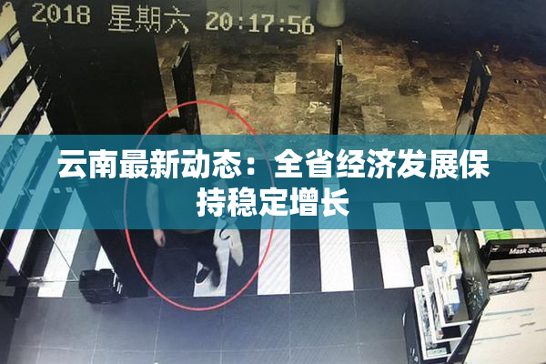 云南最新动态：全省经济发展保持稳定增长