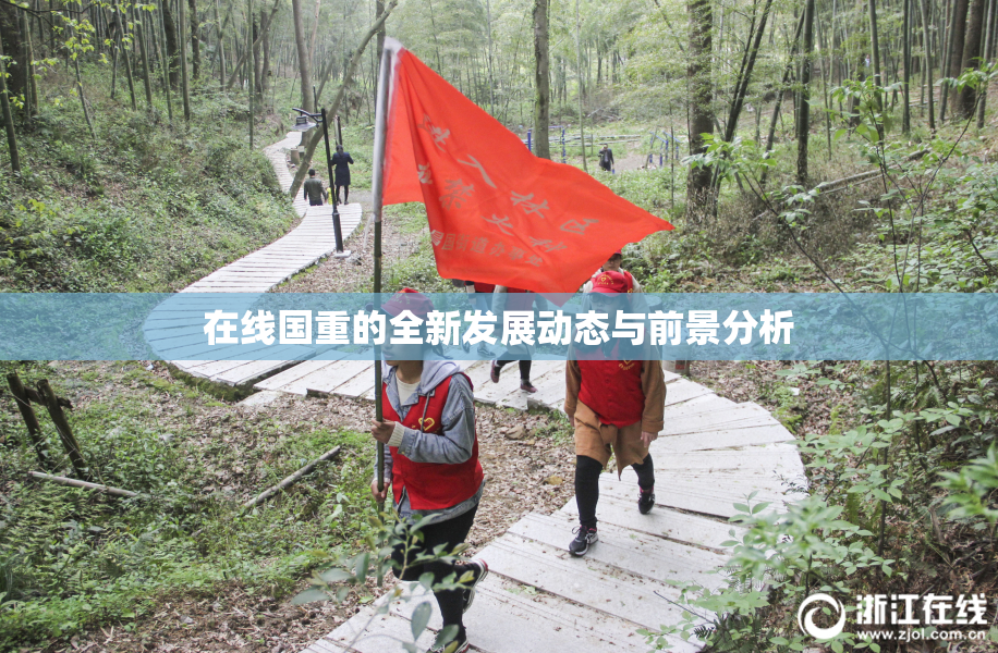 在线国重的全新发展动态与前景分析