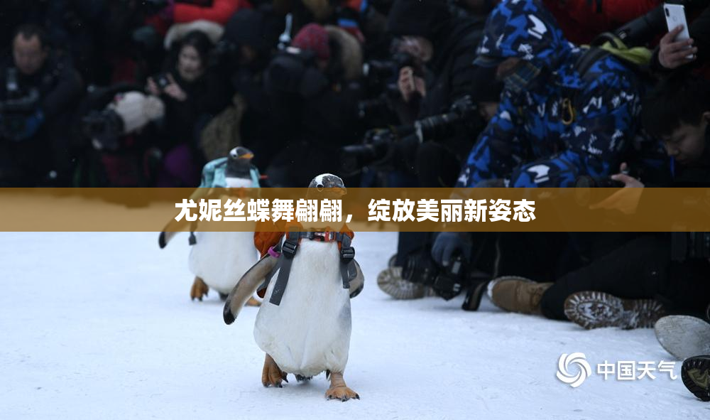 尤妮丝蝶舞翩翩，绽放美丽新姿态