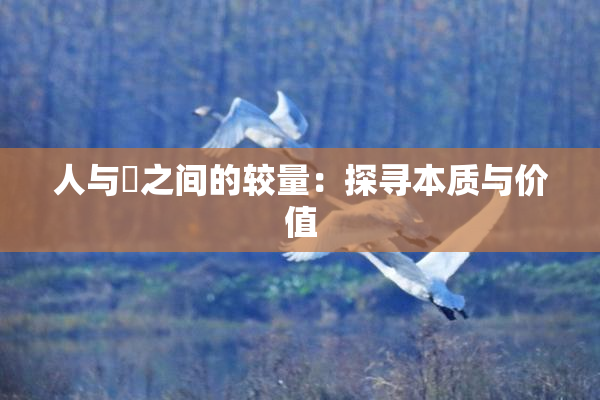 人与嘼之间的较量：探寻本质与价值