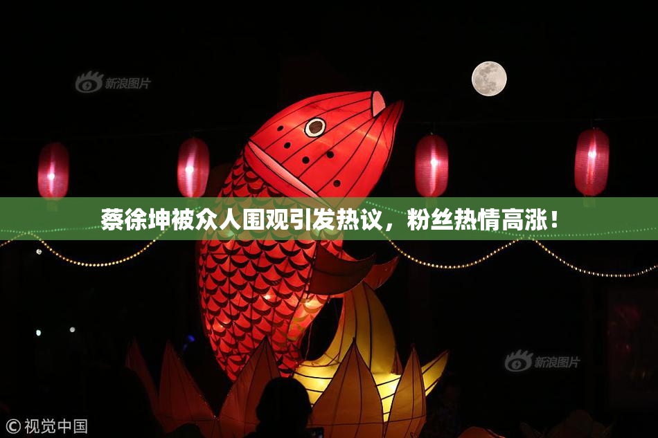 蔡徐坤被众人围观引发热议，粉丝热情高涨！