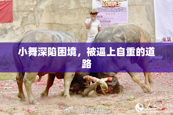 小舞深陷困境，被逼上自重的道路