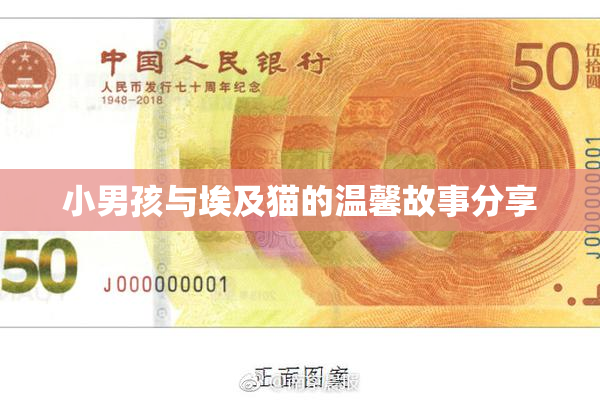 小男孩与埃及猫的温馨故事分享