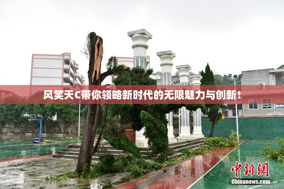风笑天C带你领略新时代的无限魅力与创新！