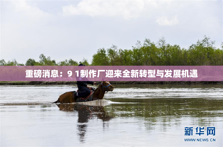 重磅消息：9 1制作厂迎来全新转型与发展机遇