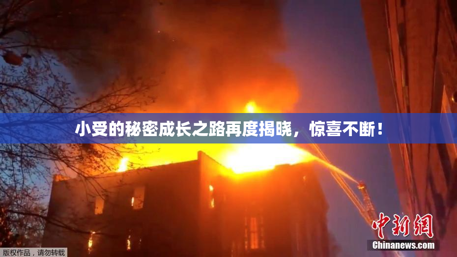 小受的秘密成长之路再度揭晓，惊喜不断！