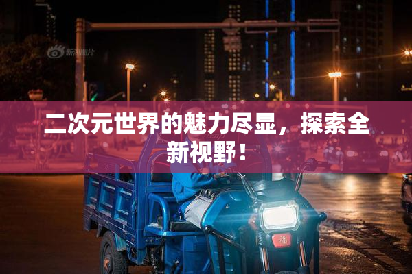 二次元世界的魅力尽显，探索全新视野！