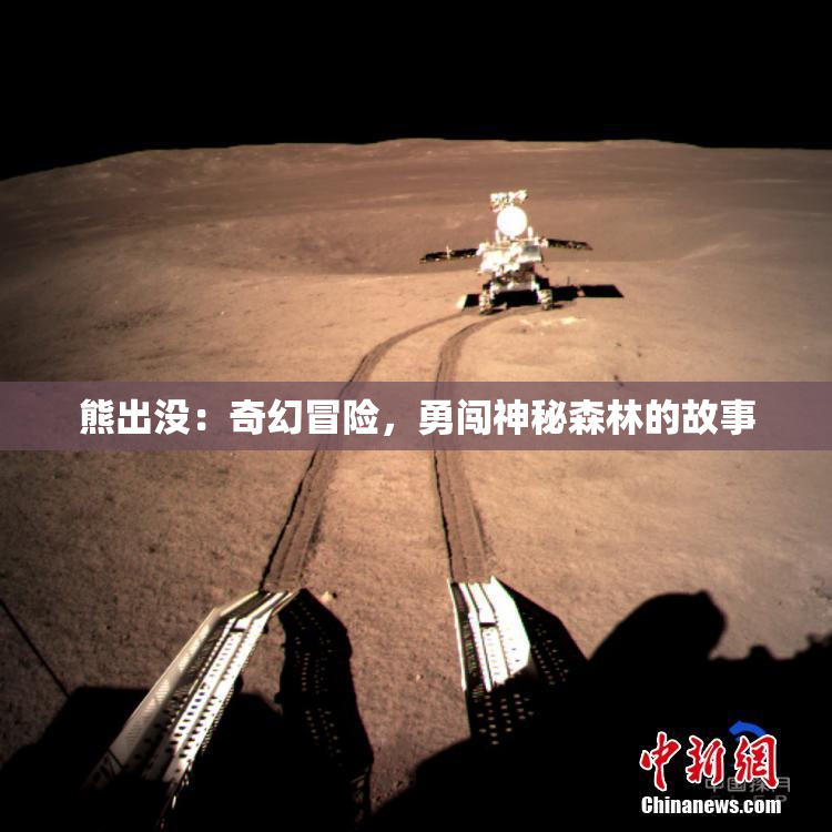 熊出没：奇幻冒险，勇闯神秘森林的故事