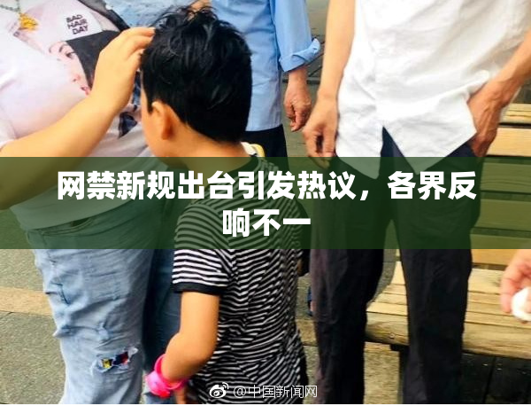 网禁新规出台引发热议，各界反响不一